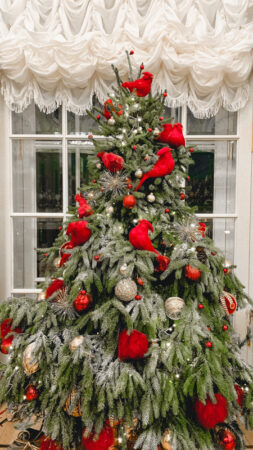 Choosing A Christmas Tree: Which Is Best, Real Or Artificial?